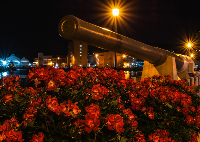 ヴェルニー公園「夜に輝く大砲と薔薇」
